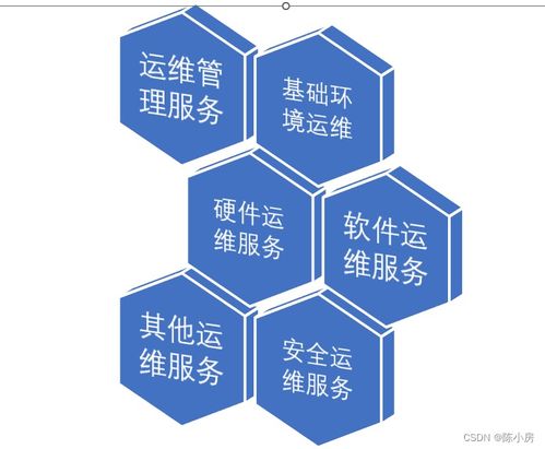 第4篇 信息技术服务知识——技术服务